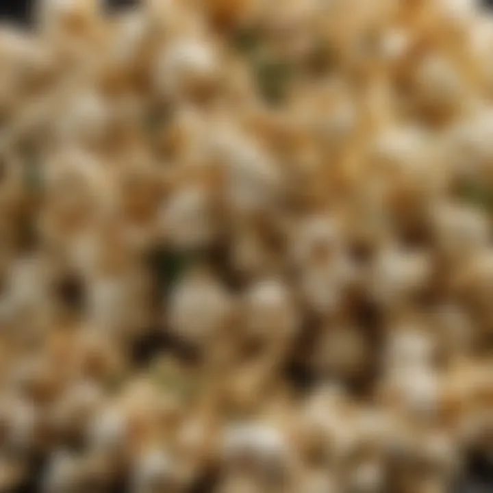 A close-up of popped corn kernels seasoned with a blend of colorful herbs.