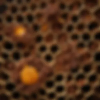 Materials used in a honeycomb spice rack, highlighting durability and maintenance ease