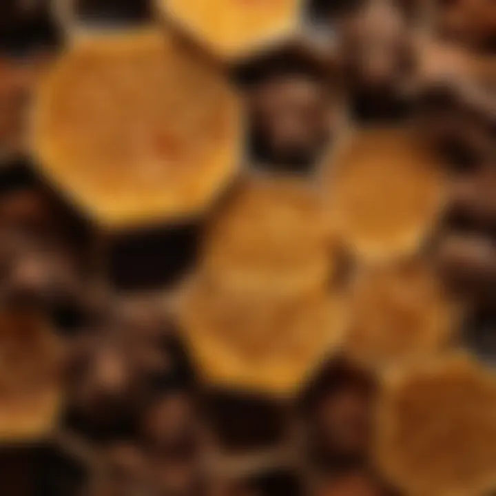Close-up of spices organized in a honeycomb design, emphasizing space efficiency
