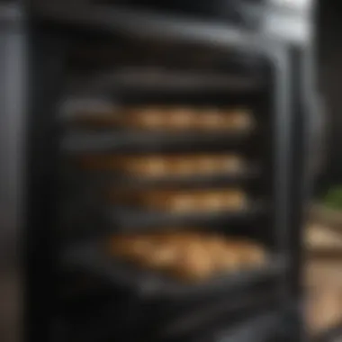 Spotless Oven Racks Displayed A pair of clean oven racks ready for use