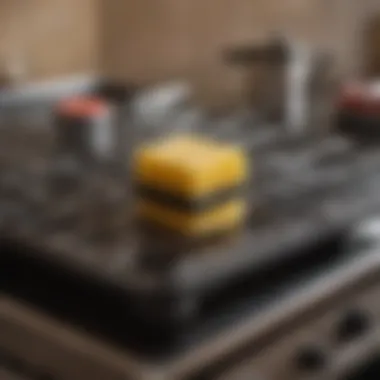 Essential Tools for Rack Cleaning A scrub brush and sponge next to a cleaning station