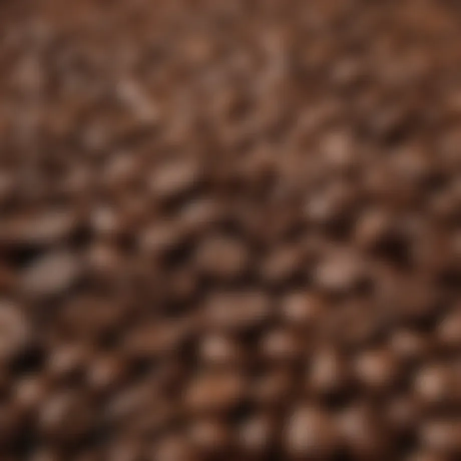 Freshly roasted coffee beans ready for grinding