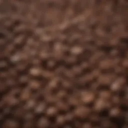 A selection of premium coffee beans showcasing different varieties and roasts