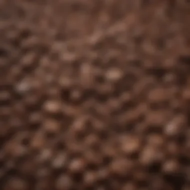 Diverse Coffee Beans A selection of premium coffee beans showcasing different varieties and roasts