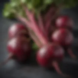 Freshly harvested beets showcasing vibrant colors and textures