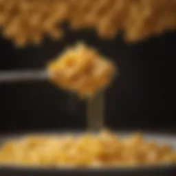 A variety of pasta shapes ideal for mac and cheese.