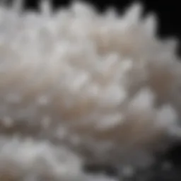 A close-up view of kosher salt crystals highlighting their unique texture and size.