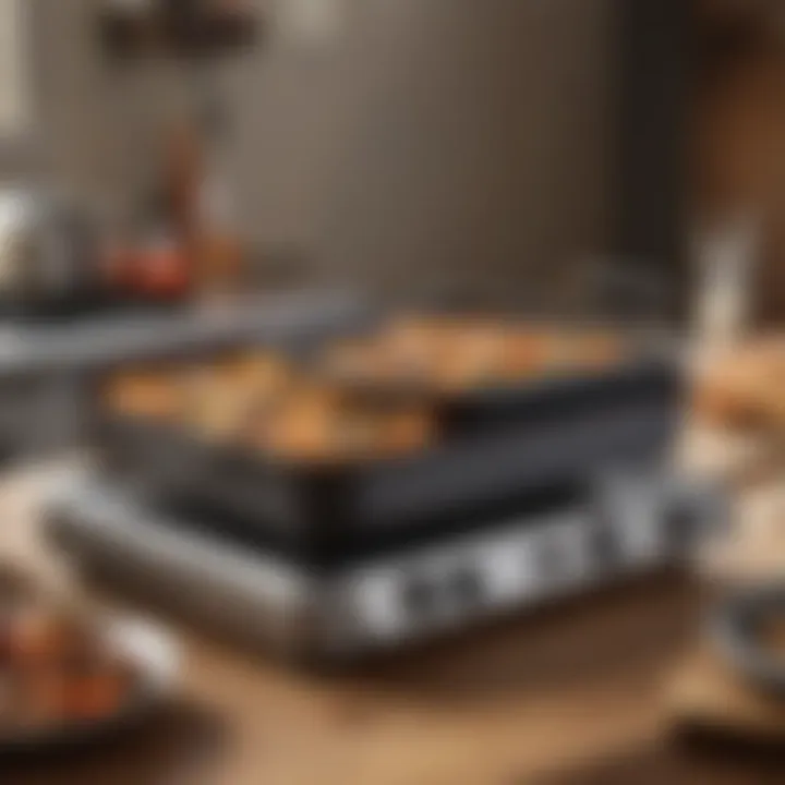 Maintenance tools for electric roasting pans