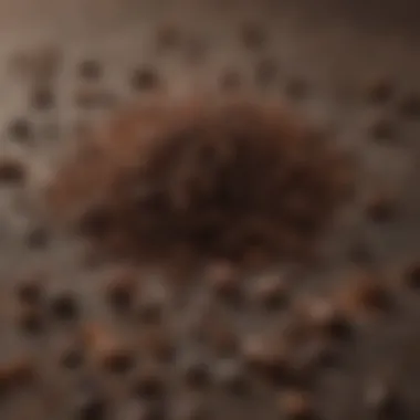 Close-up of coffee grounds demonstrating different grind sizes