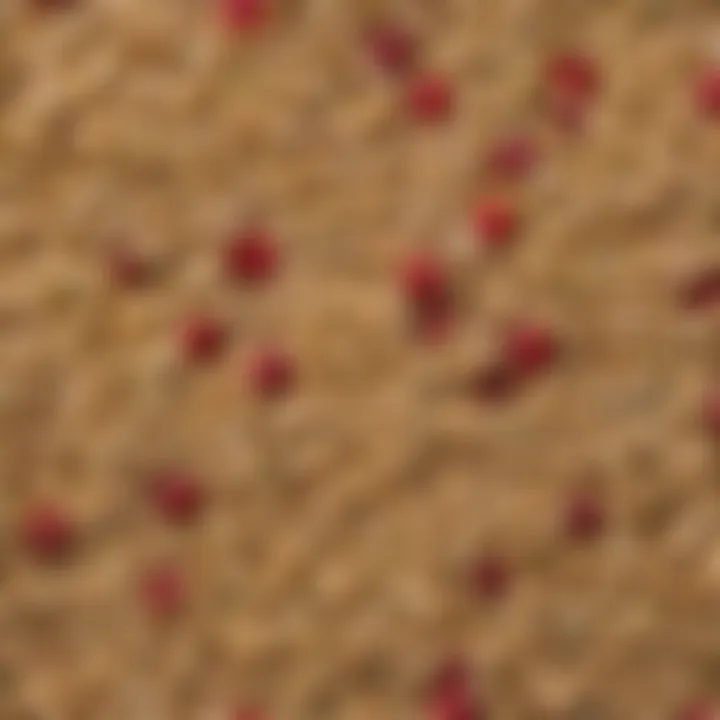 A colorful display of various oatmeal types
