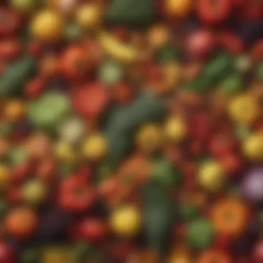 Fresh Produce Selection for Budget Cooking Colorful assortment of fresh vegetables and fruits