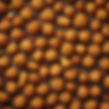 Fresh Ingredients for Spicy Nuggets An array of ingredients used in McDonald's Spicy Nuggets, illustrating freshness and quality.