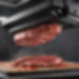 Innovative accelerated meat defroster in action