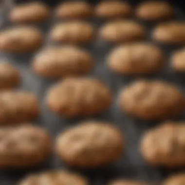 Freshly baked oatmeal cookies cooling on a wire rack