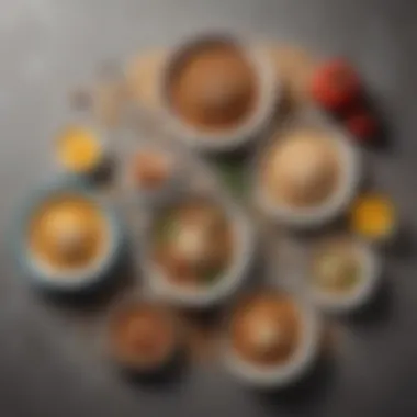 Balanced Meals: Grains and Proteins for Healthy Growth A balanced meal featuring grains and proteins for ten-month-olds