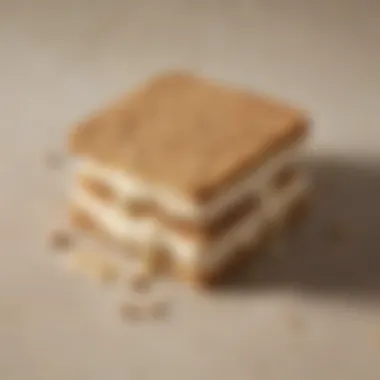 Overhead View of Oatmeal Ice Cream Sandwich An overhead view of an oatmeal ice cream sandwich being bitten into, capturing the melty ice cream.
