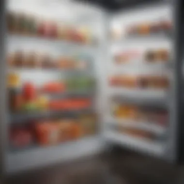 Common Management Pitfalls Visual representation of common refrigerator management pitfalls