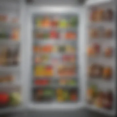 Maximizing Refrigerator Space Practical solutions for maximizing refrigerator space