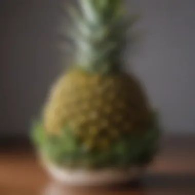 Unique pineapple-shaped succulent planter