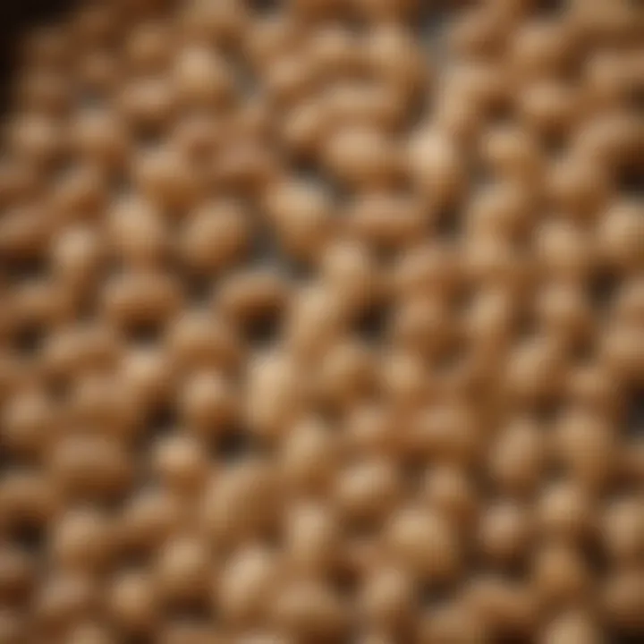 A roasting pan with salted peanuts ready for the oven.