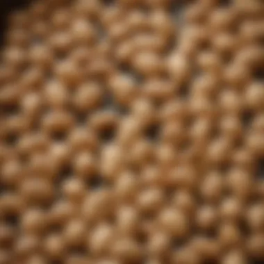 Peanuts Ready for the Roasting Pan A roasting pan with salted peanuts ready for the oven.