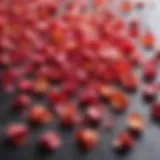 Freshly harvested rose petals showcasing vibrant colors