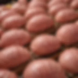 A selection of premium spiral hams available at ShopRite.