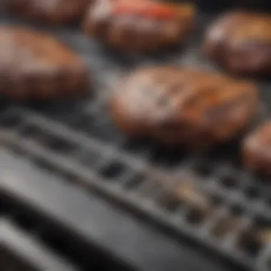 Close-up of grilling features, highlighting ventilation and temperature control.
