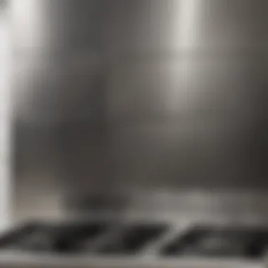 Durable Stainless Steel Backsplash Guard Close-up of a stainless steel backsplash guard
