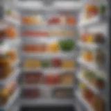 Close-up of a clean freezer interior showcasing organized food items