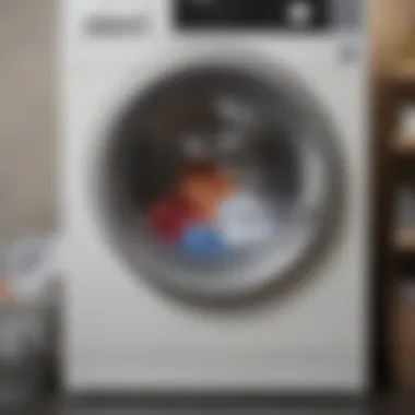 A washing machine with a clear view of clothing being loaded carefully