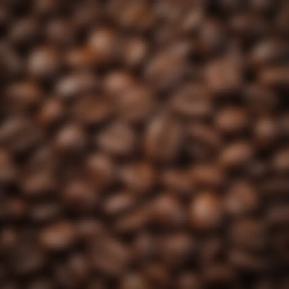 A close-up view of Stumptown Coffee Beans showcasing their rich color and texture