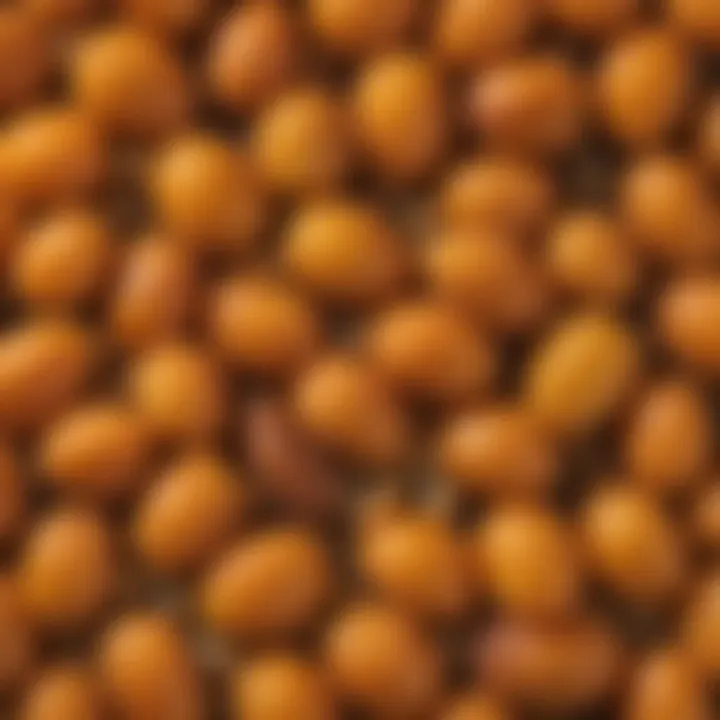 Close-up of sweet apricot seeds showcasing their texture and color