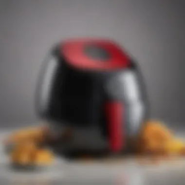 Versatile applications of the T-Fal Compact Air Fryer T-Fal Compact Air Fryer demonstrating versatility