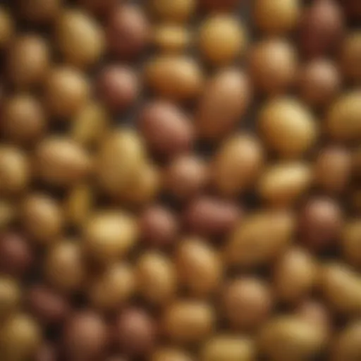 A variety of potato types showcasing their textures and colors