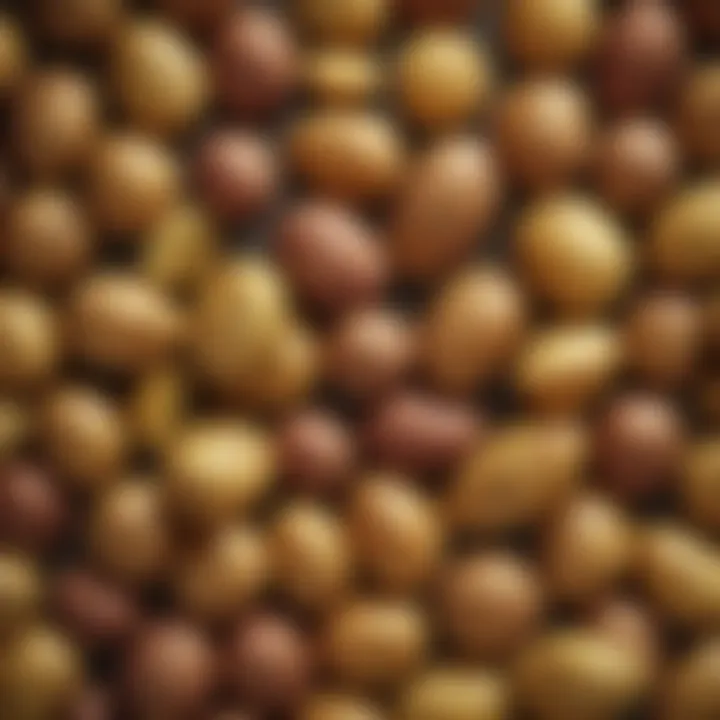A variety of potato types showcasing their textures and colors