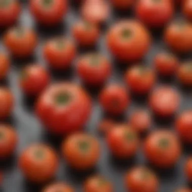 Tomato Varieties and Ripeness Comparison of different tomato varieties and their ripeness levels.
