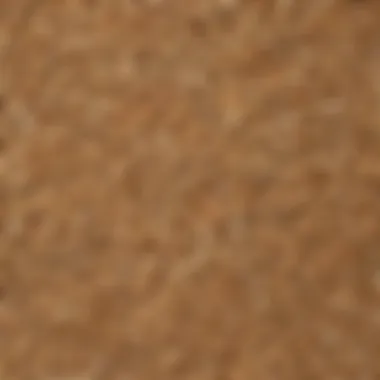 A close-up of oats showcasing their natural texture and color