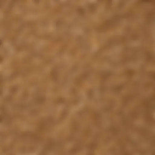 A close-up of oats showcasing their natural texture and color