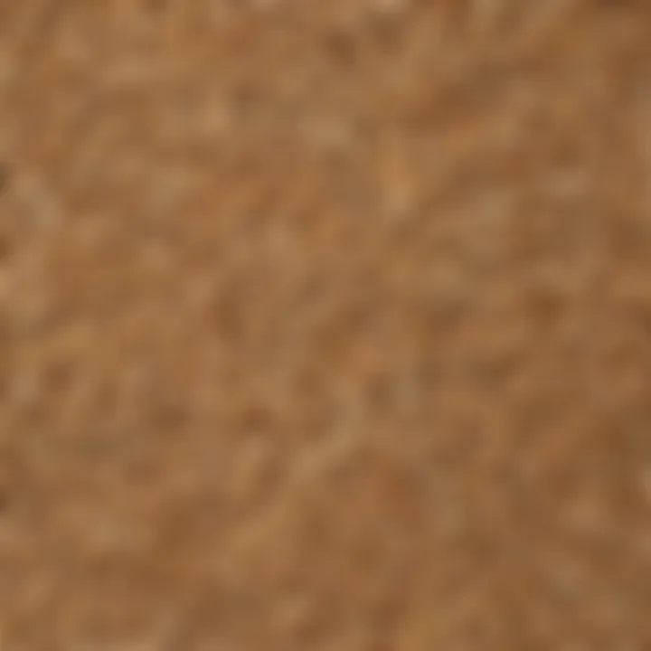 A close-up of oats showcasing their natural texture and color