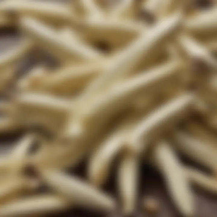 Close-up of fresh vanilla pods revealing their aromatic qualities
