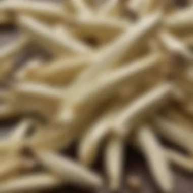 The Aromatic Essence of Vanilla Close-up of fresh vanilla pods revealing their aromatic qualities
