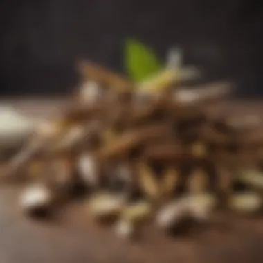 Artistry of Fresh Vanilla Pods Richly textured fresh vanilla pods arranged artfully