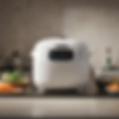 Maintenance essentials for sushi rice cookers displayed in a clean kitchen setting