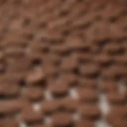The Intrigue of Nabisco's Famous Chocolate Wafers Introduction