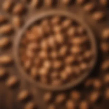 Raw almonds arranged aesthetically on a wooden surface