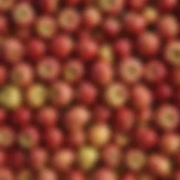 A vibrant display of various apple varieties highlighting their nutritional benefits