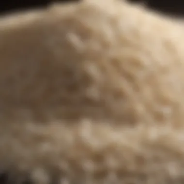 A close-up view of basmati rice grains showcasing their long, slender shape.