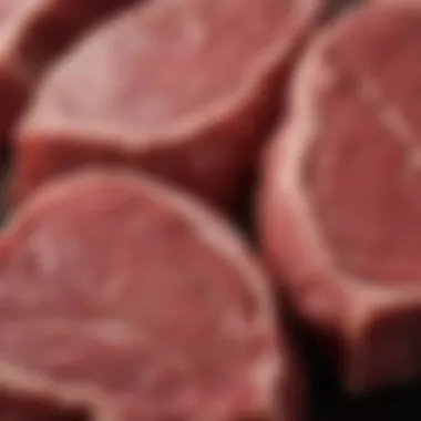 Close-up view of beef middle casings highlighting texture and quality