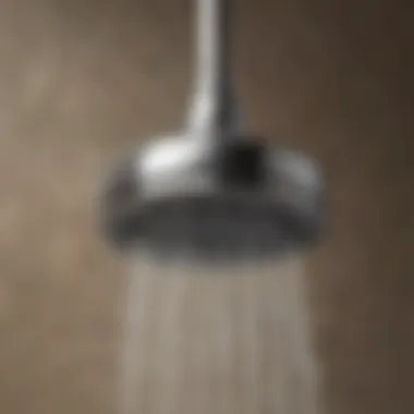 Close-up view of a shower head showing CLR buildup